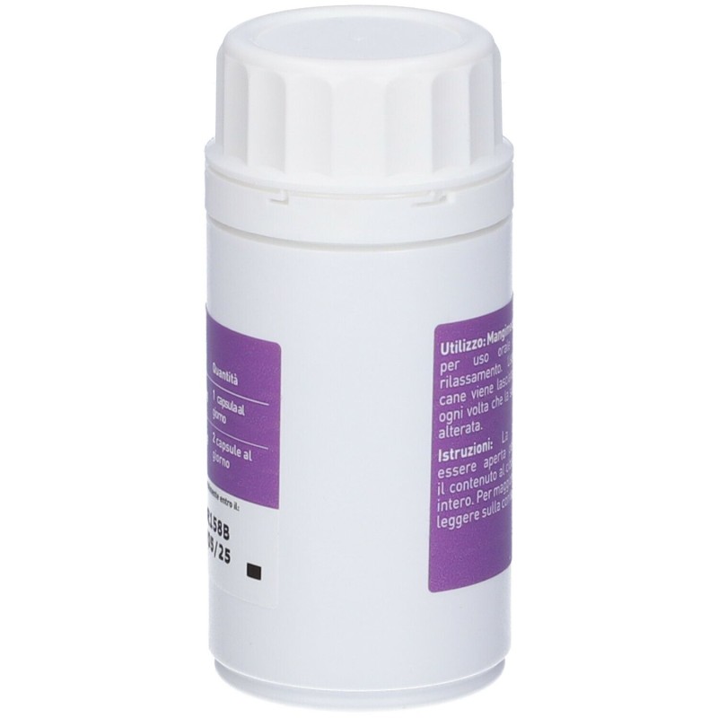 Presentazione grafica di Zylkene Plus Integratore per Rilassamento Cani da 15-60 Kg 30 Capsule