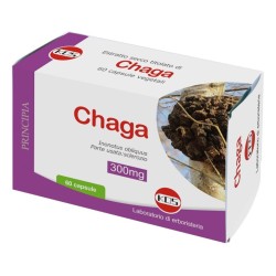 Formato di Kos Chaga Integratore Alimentare a Base di Chaga 60 Capsule Formato di Kos Chaga Integratore Alimentare a Base di Chaga 60 Capsule