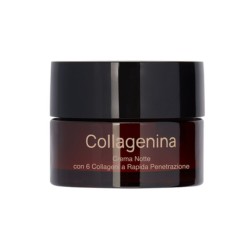 Formato di Collagenina Crema Notte Grado 3 Rimpolpante 50ml per Rilassamento Cutaneo Formato di Collagenina Crema Notte Grado 3 Rimpolpante 50ml per Rilassamento Cutaneo