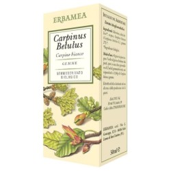 Erbamea Carpinus Betulus... Erbamea Carpinus Betulus...