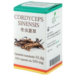Cordyceps 100 Capsule per... Cordyceps 100 Capsule per...
