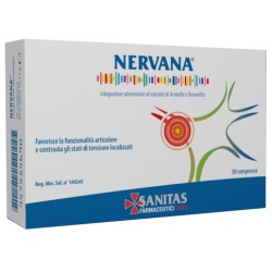 Nervana per Funzionalità... Nervana per Funzionalità...