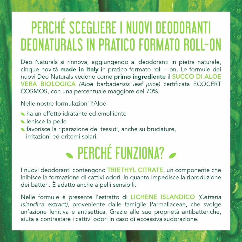 Primo piano di Deodorante Roll-on Idratante Aloe Vera e Vitamina E 50 ml Primo piano di Deodorante Roll-on Idratante Aloe Vera e Vitamina E 50 ml