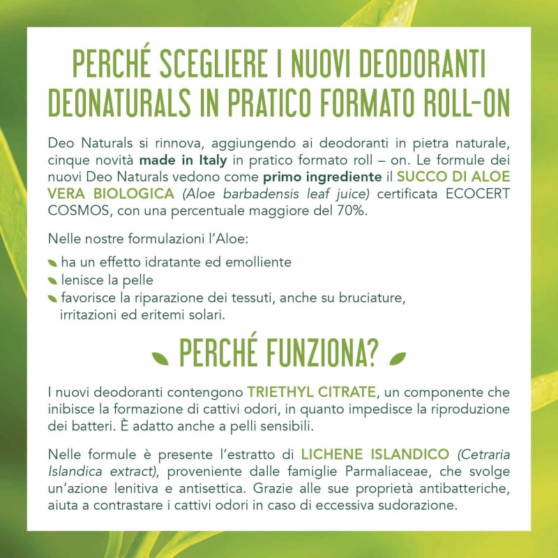 Foto della confezione di Deonaturals Roll On Tea Tree per Protezione Duratura 50ml