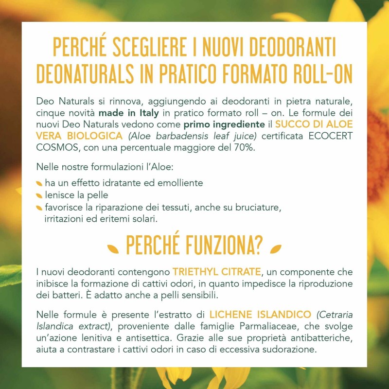 Pack ufficiale del prodotto Deodorante Roll-on Idratante alla Vitamina E 50 ml Pack ufficiale del prodotto Deodorante Roll-on Idratante alla Vitamina E 50 ml