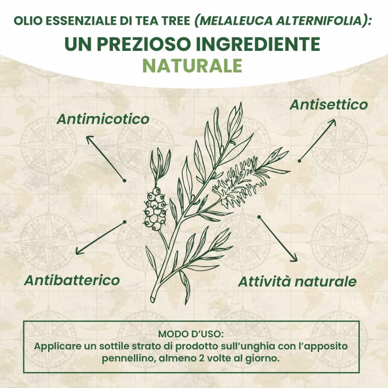 Confezione originale di Soluzione Unghie Rinforzante al Tea Tree Oil 10 ml Confezione originale di Soluzione Unghie Rinforzante al Tea Tree Oil 10 ml