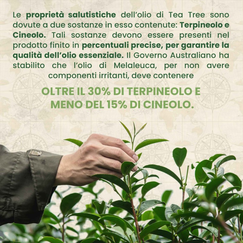 Dettaglio del packaging di Soluzione Unghie Rinforzante al Tea Tree Oil 10 ml Dettaglio del packaging di Soluzione Unghie Rinforzante al Tea Tree Oil 10 ml