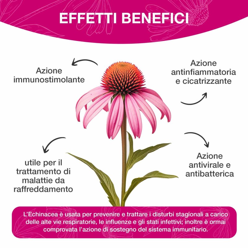 Packaging integro del prodotto Echinacea Estratto Forte Gocce Integratore Per Le Vie Respiratorie 50ml Packaging integro del prodotto Echinacea Estratto Forte Gocce Integratore Per Le Vie Respiratorie 50ml