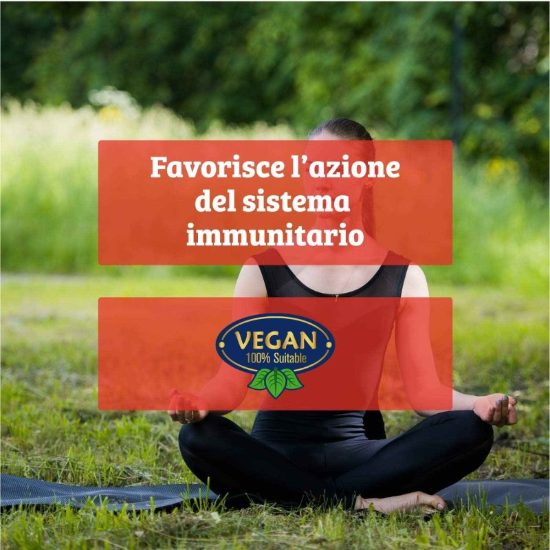 Aspetto del prodotto Vegan Integratore Ricostituente 60 Compresse Aspetto del prodotto Vegan Integratore Ricostituente 60 Compresse