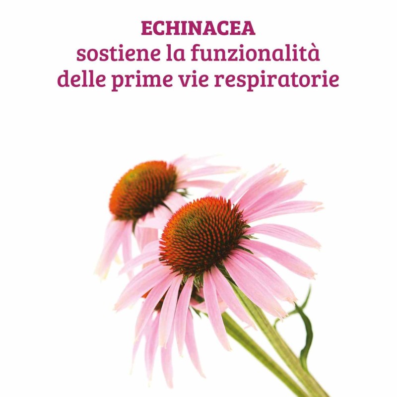 Dettaglio del packaging di Echinacea Angustifolia e Purpurea Anti-infiammatorio 60 Capsule Dettaglio del packaging di Echinacea Angustifolia e Purpurea Anti-infiammatorio 60 Capsule