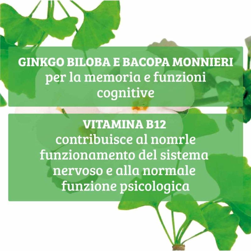 Dettaglio del packaging di Ginkgo Biloba Plus Mente 60 Compresse 1000mg Dettaglio del packaging di Ginkgo Biloba Plus Mente 60 Compresse 1000mg