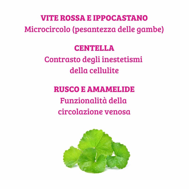 Confezione commerciale di Gambe Light Integratore per Gambe 30 Capsule Confezione commerciale di Gambe Light Integratore per Gambe 30 Capsule