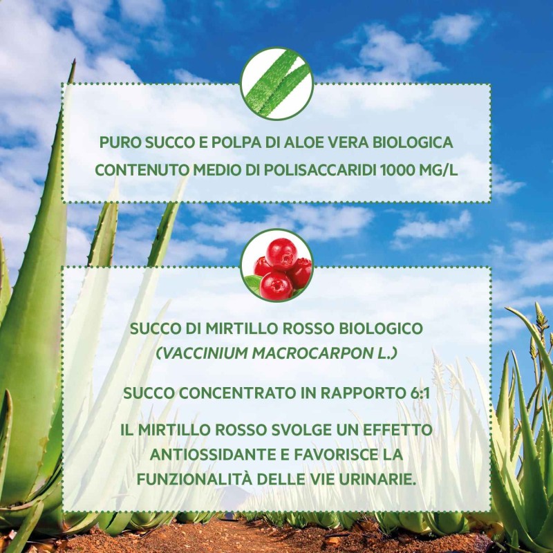 Confezione sigillata di Provida Bio Aloe Vera Integratore Depurativo 500ml Confezione sigillata di Provida Bio Aloe Vera Integratore Depurativo 500ml