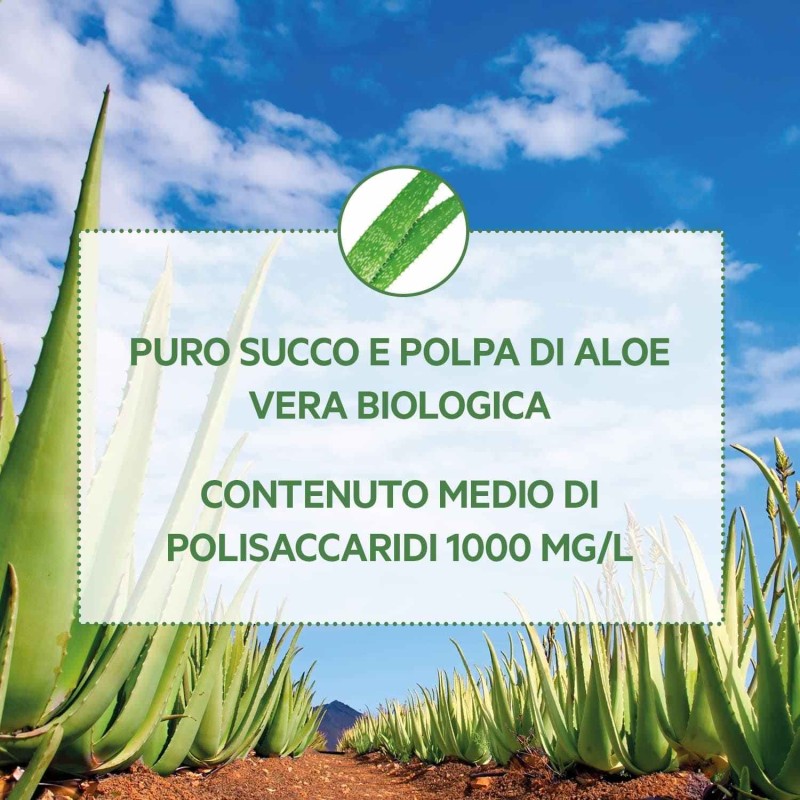 Aspetto del prodotto Provida Bio Aloe Vera Puro Succo e Polpa 500ml Aspetto del prodotto Provida Bio Aloe Vera Puro Succo e Polpa 500ml