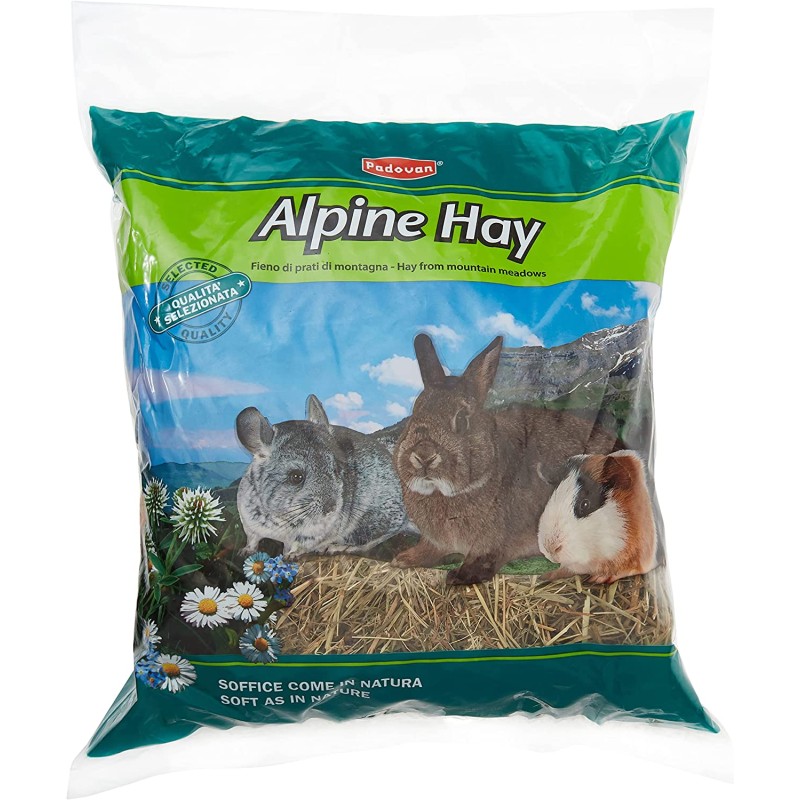 Padovan Fieno Alpine Hay 700 gr fieno naturale per conigli e roditori Padovan Fieno Alpine Hay 700 gr fieno naturale per conigli e roditori
