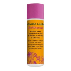 Formato di Dr Theiss Balsamo Labbra Echinacea Nutriente con Spf 15 1 Stick Formato di Dr Theiss Balsamo Labbra Echinacea Nutriente con Spf 15 1 Stick