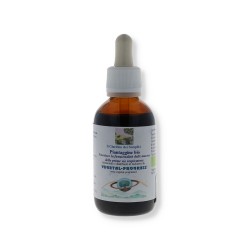 Formato di Vegetal Progress Piantaggine Estratto Idroalcolico per Vie Respiratorie 50ml