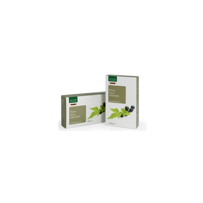 Natura Service Ribes Nero Biologico drenaggio liquidi e benessere vie urinarie 20 ampolle da 15 ml Natura Service Ribes Nero Biologico drenaggio liquidi e benessere vie urinarie 20 ampolle da 15 ml