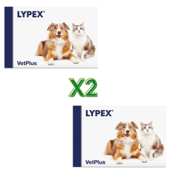 Lypex integratore per cani e gatti 120 capsule Lypex integratore per cani e gatti 120 capsule