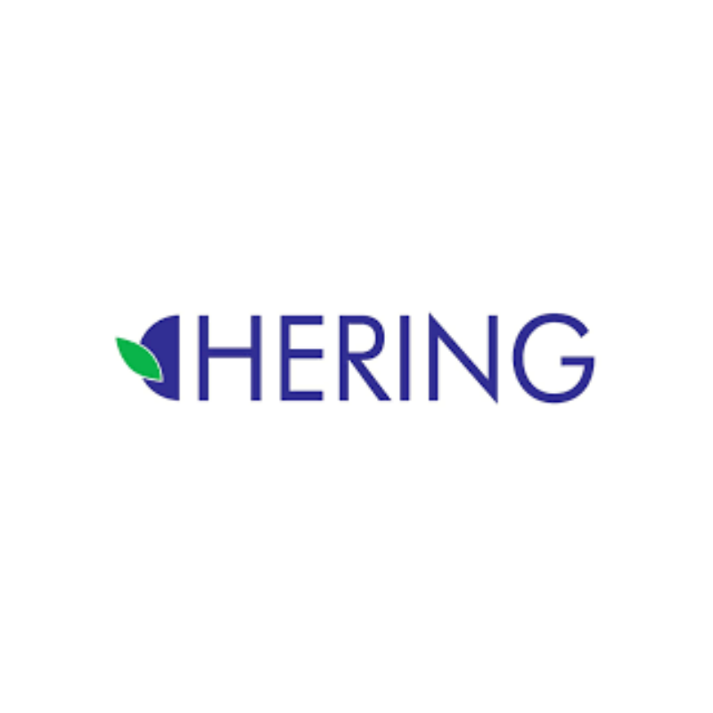 logo hering