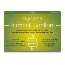 Formato di Erbamea Fermenti Gonfiore Integratore di Fermenti Lattici 5 Miliardi 20 Capsule Formato di Erbamea Fermenti Gonfiore Integratore di Fermenti Lattici 5 Miliardi 20 Capsule