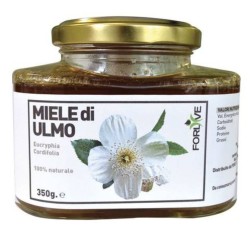 vasetto di Forlive Miele di Ulmo 350g vasetto di Forlive Miele di Ulmo 350g