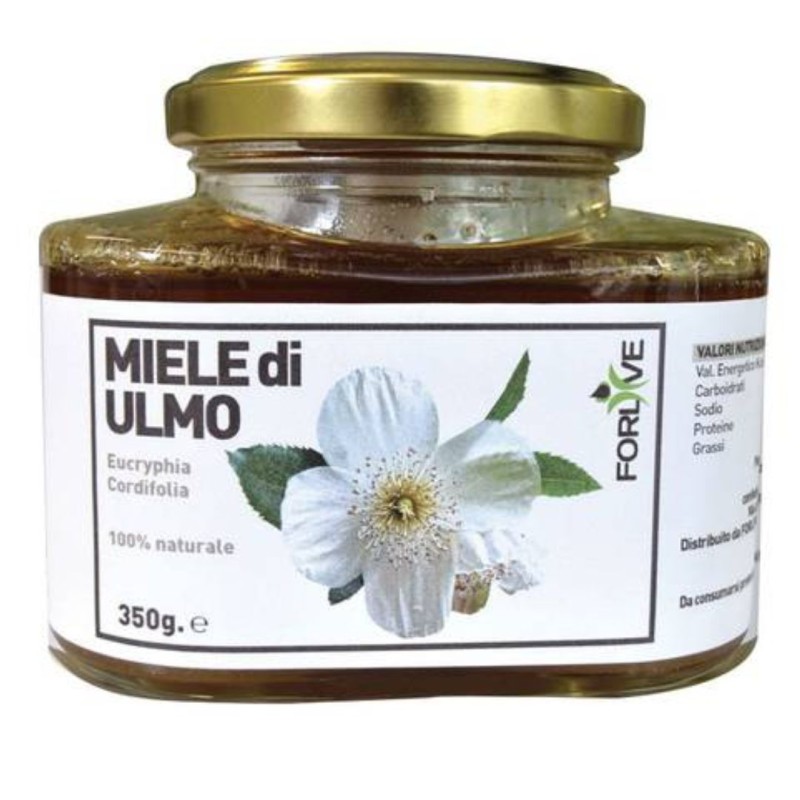 vasetto di Forlive Miele di Ulmo 350g vasetto di Forlive Miele di Ulmo 350g