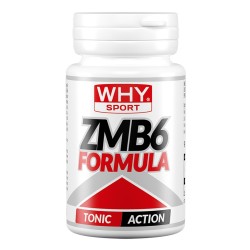 Whysport Zmb6 Formula per... Whysport Zmb6 Formula per...