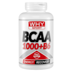 Why Sport BCAA 1000 + B6... Why Sport BCAA 1000 + B6...