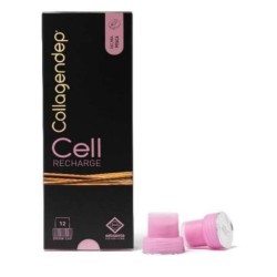 Formato di Erbozeta Collagendep Cell Recharge Integratore Drenante 12 Drink Formato di Erbozeta Collagendep Cell Recharge Integratore Drenante 12 Drink