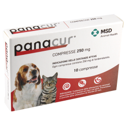 Panacur Compresse per cani e gatti per Parassiti Intestinali 10 Compresse da 250 mg Panacur Compresse per cani e gatti per Parassiti Intestinali 10 Compresse da 250 mg