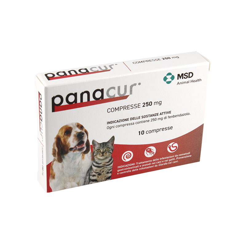 Panacur Compresse per cani e gatti per Parassiti Intestinali 10 Compresse da 250 mg Panacur Compresse per cani e gatti per Parassiti Intestinali 10 Compresse da 250 mg