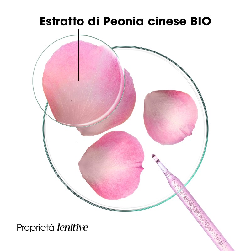 Composizione di Klorane Shampoo alla Peonia Bio Protettivo e Anti Irritazioni 200ml Composizione di Klorane Shampoo alla Peonia Bio Protettivo e Anti Irritazioni 200ml
