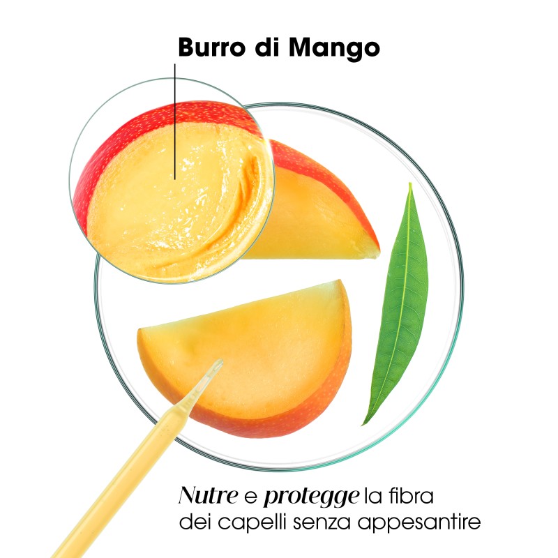 Contenuto di Klorane Shampoo Al Mango per Capelli Secchi Idratante 400ml Contenuto di Klorane Shampoo Al Mango per Capelli Secchi Idratante 400ml