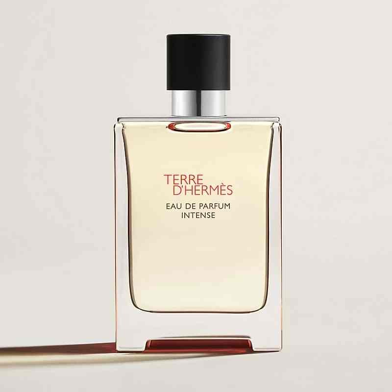 Hermes Terre d'Hermès Eau de Parfum Intense profumo uomo persistente 100 ml