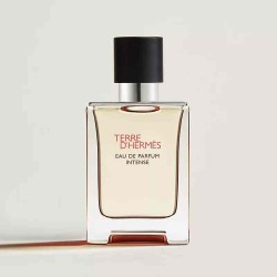 Hermes Terre d'Hermès Eau de Parfum Intense profumo uomo boisé e minerale 50 ml Hermes Terre d'Hermès Eau de Parfum Intense profumo uomo boisé e minerale 50 ml