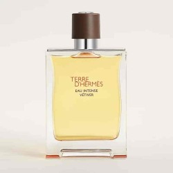 Hermes Terre d'Hermès Eau Intense Vétiver profumo uomo elegante e persistente 200 ml