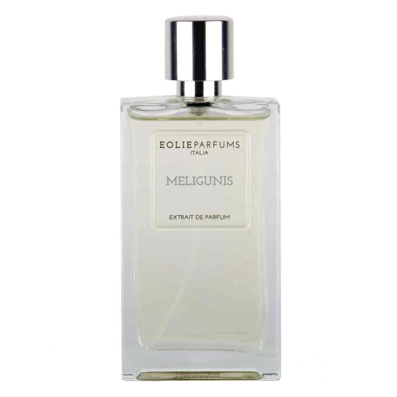 Eolie Parfums Meligunis Eau de Parfum per Uomo Fresco e Raffinato 100 ml