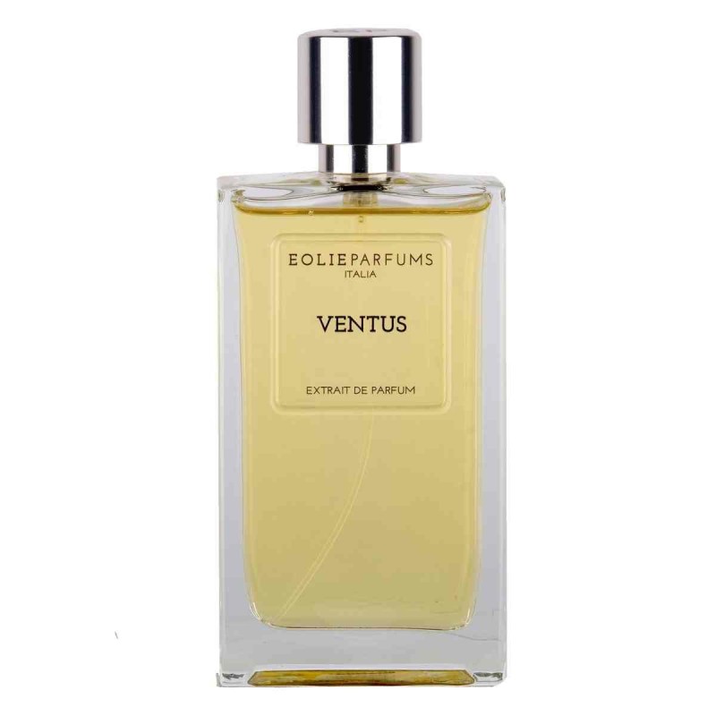 Eolie Parfums Ventus Eau de Parfum profumo unisex energizzante e sofisticato 100 ml