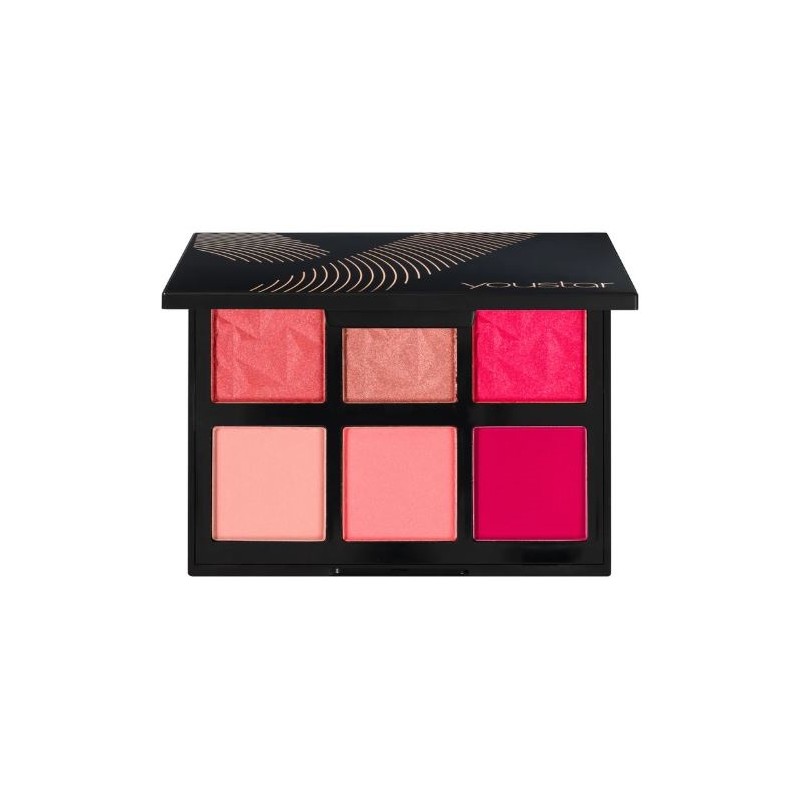Youstar Cherry Cheeks Palette Blush per Guance Luminose Palette 6 Colori Youstar Cherry Cheeks Palette Blush per Guance Luminose Palette 6 Colori