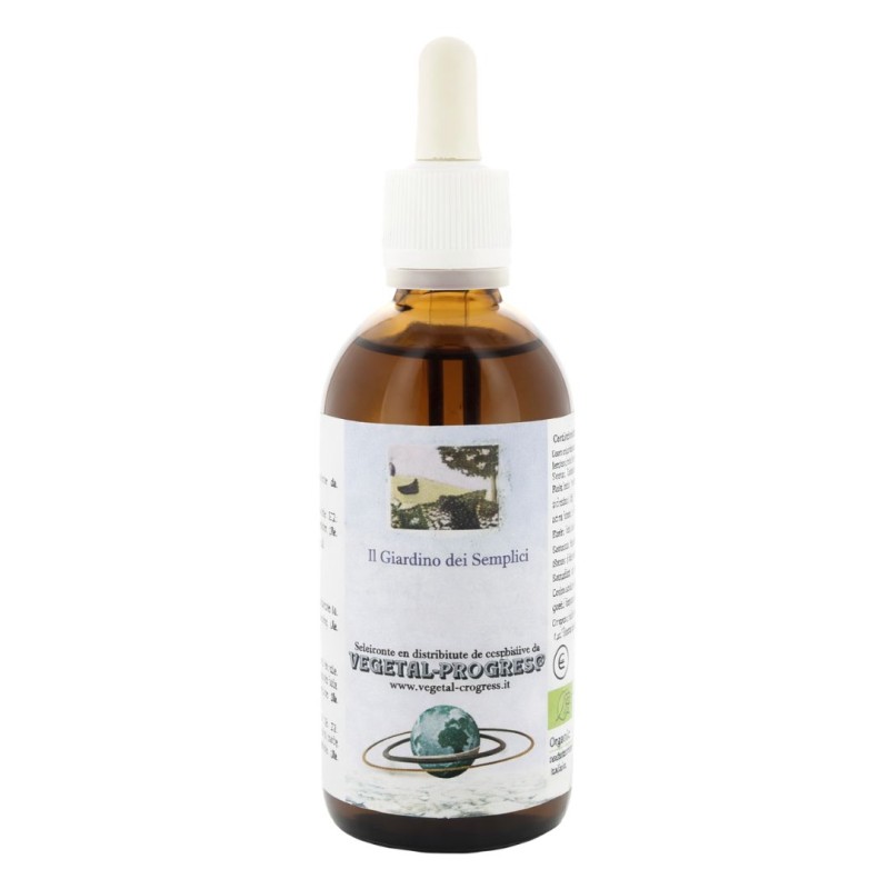 Vegetal Progress Valeriana Estratto Idroalcolico per Insonnia e Ansia 50 ml