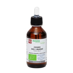 Flacone Cedro Del Libano Mg Bio Integratore Naturale per Benessere Stagionale 100 ml Flacone Cedro Del Libano Mg Bio Integratore Naturale per Benessere Stagionale 100 ml
