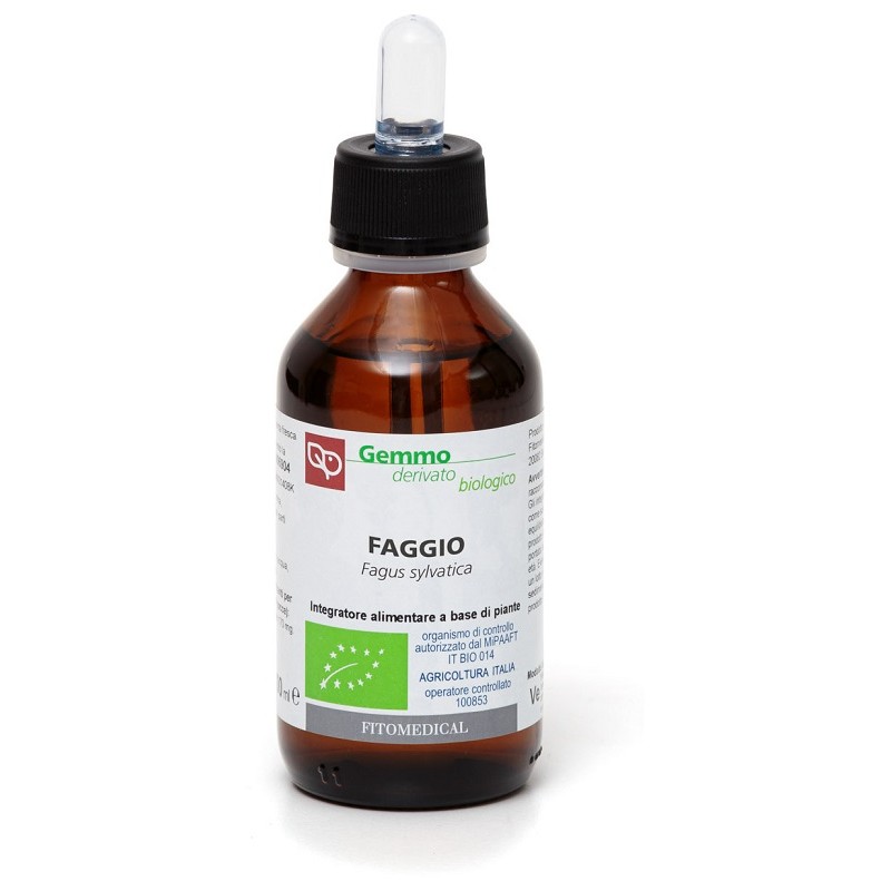 Fitomedical Faggio Macerato Glicerico per Reni e drenaggio 100 Ml Bio Fitomedical Faggio Macerato Glicerico per Reni e drenaggio 100 Ml Bio