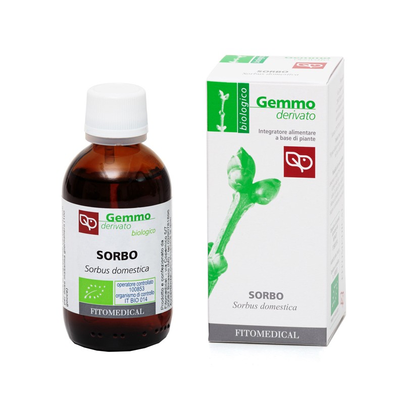 Fitomedical Sorbo Macerato Glicerico per Circolazione Venosa 50 Ml Bio Fitomedical Sorbo Macerato Glicerico per Circolazione Venosa 50 Ml Bio