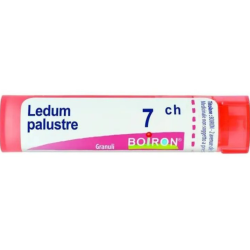 foto di Boiron Ledum Palustre 7CH Monodose Globuli Omeopatici foto di Boiron Ledum Palustre 7CH Monodose Globuli Omeopatici