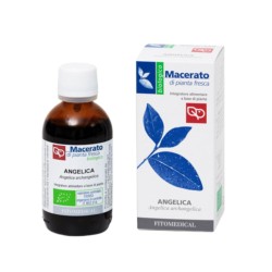 Flacone Fitomedical Angelica Tintura Madre per Digestione 500ml Bio Flacone Fitomedical Angelica Tintura Madre per Digestione 500ml Bio