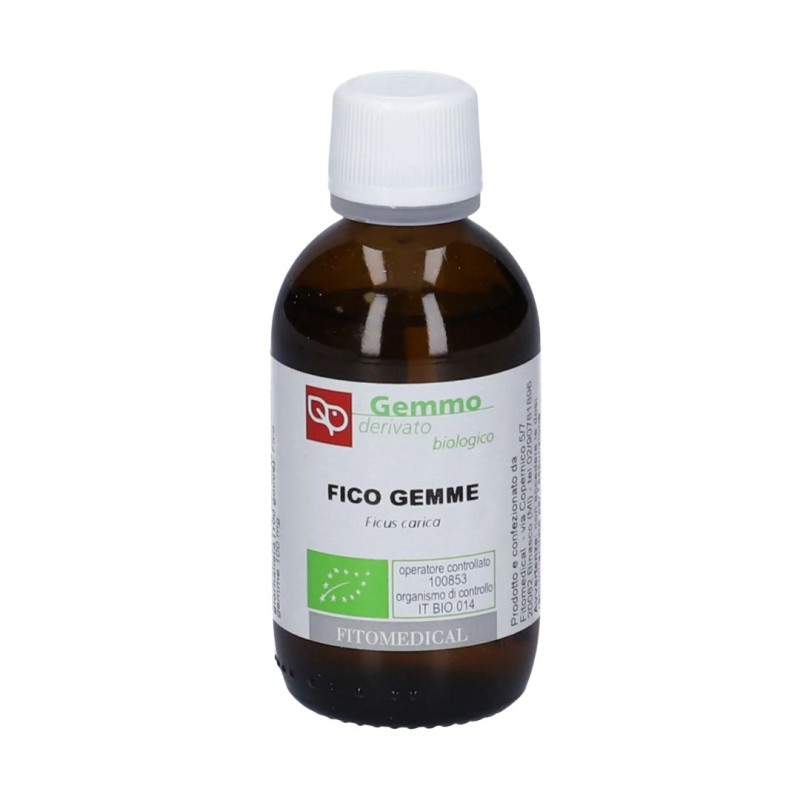 flacone Fitomedical Fico Macerato Glicerico per Stomaco e Stress 1000 Ml Bio