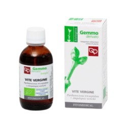 flacone Fitomedical Vite Vergine Macerato Glicerico per Articolazioni 500 Ml Bio