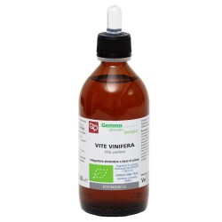 Vite Vinifera Macerato...