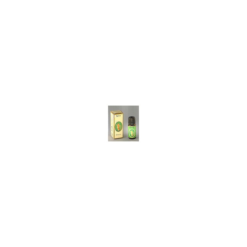 Flora Rosmarino Cineolo Olio Essenziale Bio Puro 100% Balsamico 10 ml Flora Rosmarino Cineolo Olio Essenziale Bio Puro 100% Balsamico 10 ml
